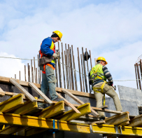 صورة الخدمة